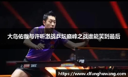 大岛佑哉与许昕激战乒坛巅峰之战谁能笑到最后